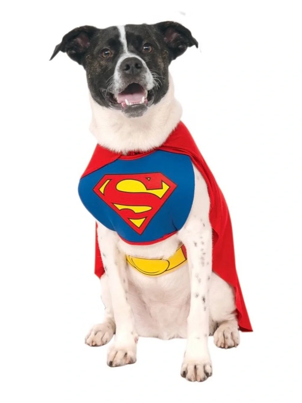 Dog Superhero Costume Set - Blue & Red Superman-Inspired Outfit